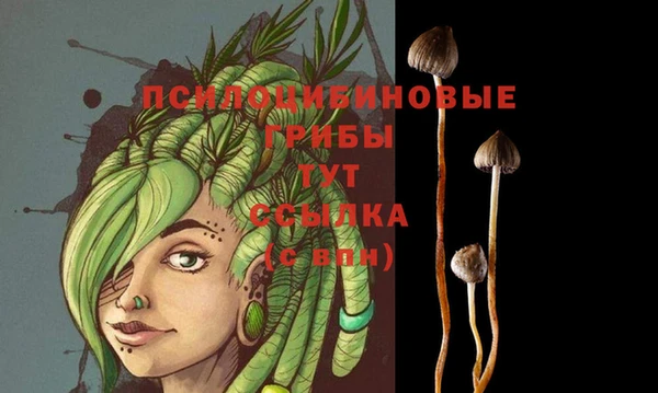 герыч Абинск